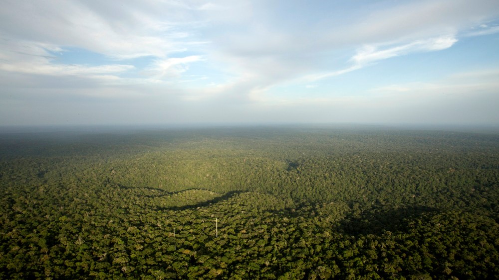 A view is seen from the Amazon Tall Tower Observatory (ATTO) in Sao Sebastiao do Uatuma in the middle of the Amazon forest in Amazonas state, Jan. 10, 2015. (Photo by Bruno Kelly/Reuters)