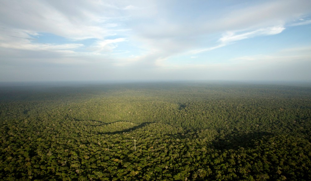 A view is seen from the Amazon Tall Tower Observatory (ATTO) in Sao Sebastiao do Uatuma in the middle of the Amazon forest in Amazonas state, Jan. 10, 2015. (Photo by Bruno Kelly/Reuters)