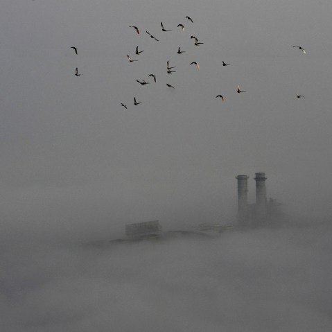 Birds fly across the sky on a polluted day in Wuhan, Hubei province, China, Feb. 16, 2015. (Photo by China Stringer Network/Reuters)