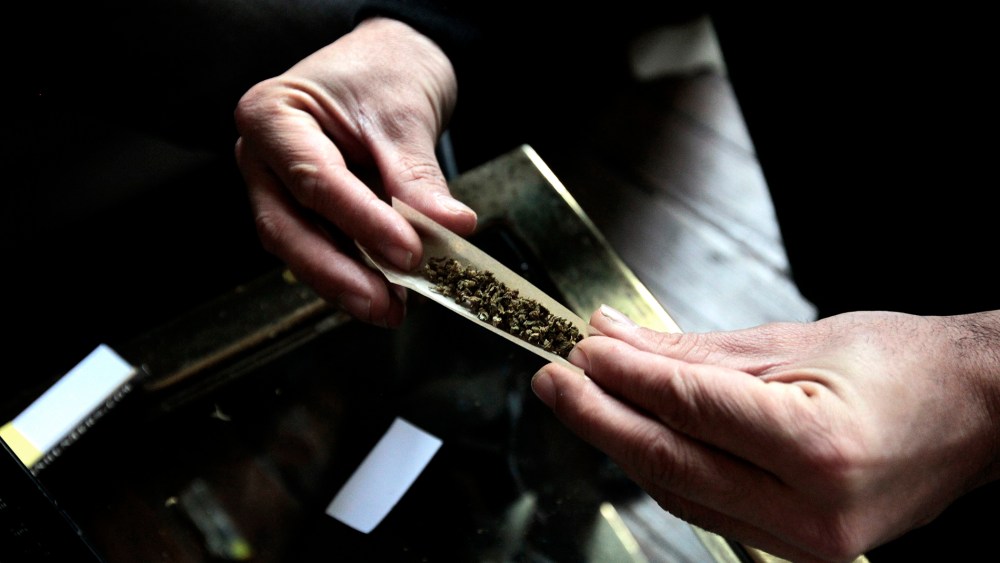 A man rolls a cannabis cigar.