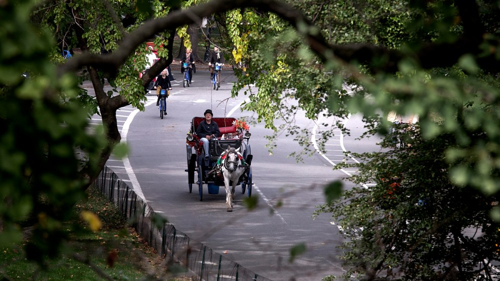 A horse drawn carriage is seen going through Central Park in New York