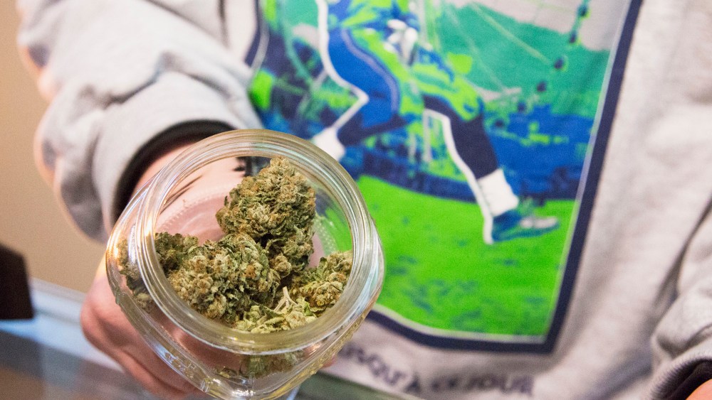Nate Johnson, shows off the marijuana strain called "Beast Mode OG", named after NFL player Marshawn "Beast Mode" Lynch of the Seattle Seahawks, in Seattle, Washington Jan. 28, 2014.
