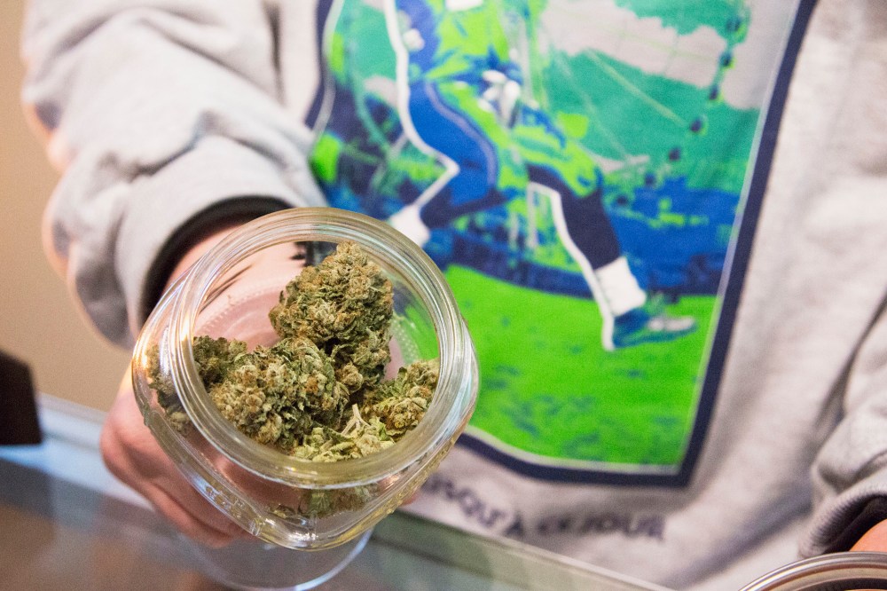 Nate Johnson, shows off the marijuana strain called "Beast Mode OG", named after NFL player Marshawn "Beast Mode" Lynch of the Seattle Seahawks, in Seattle, Washington Jan. 28, 2014.