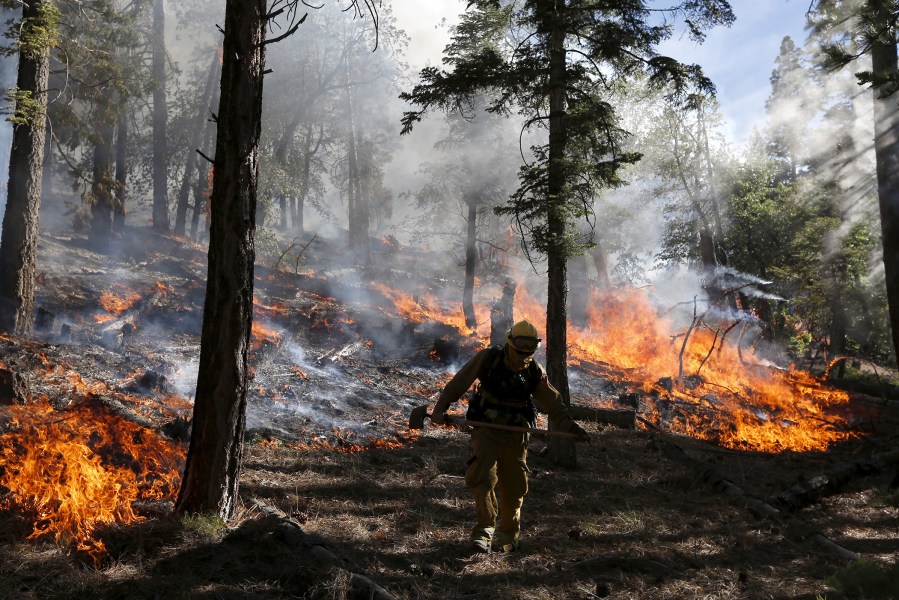 A firefighter monitors a wildfire as it spreads to the road near Jenks Lake in the San Bernardino National Forest, Calif., June 18, 2015. (Photo by Lucy Nicholson/Reuters)