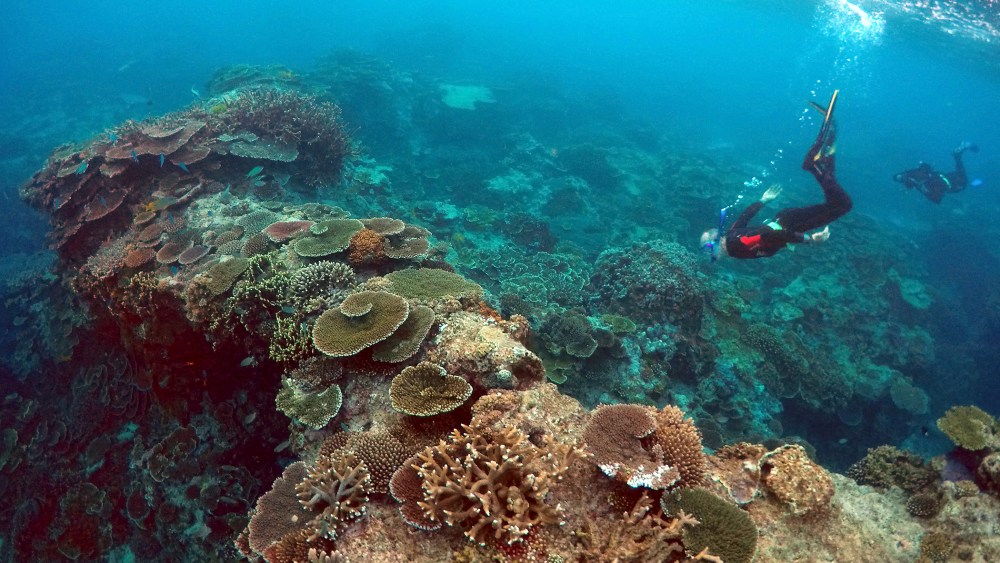 Senior rangers in the Great Barrier Reef region are seen during an inspection of the reef's condition. (Photo by David Gray/Reuters)
