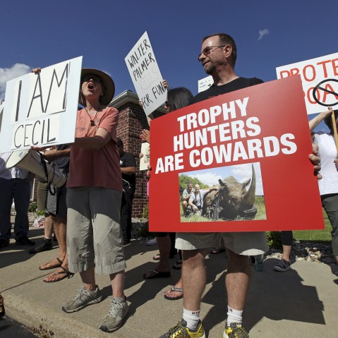 Protesters rally outside the River Bluff Dental clinic against the killing a famous lion in Zimbabwe, in Bloomington, Minn. on July 29, 2015. (Photo by Eric Miller/Reuters)