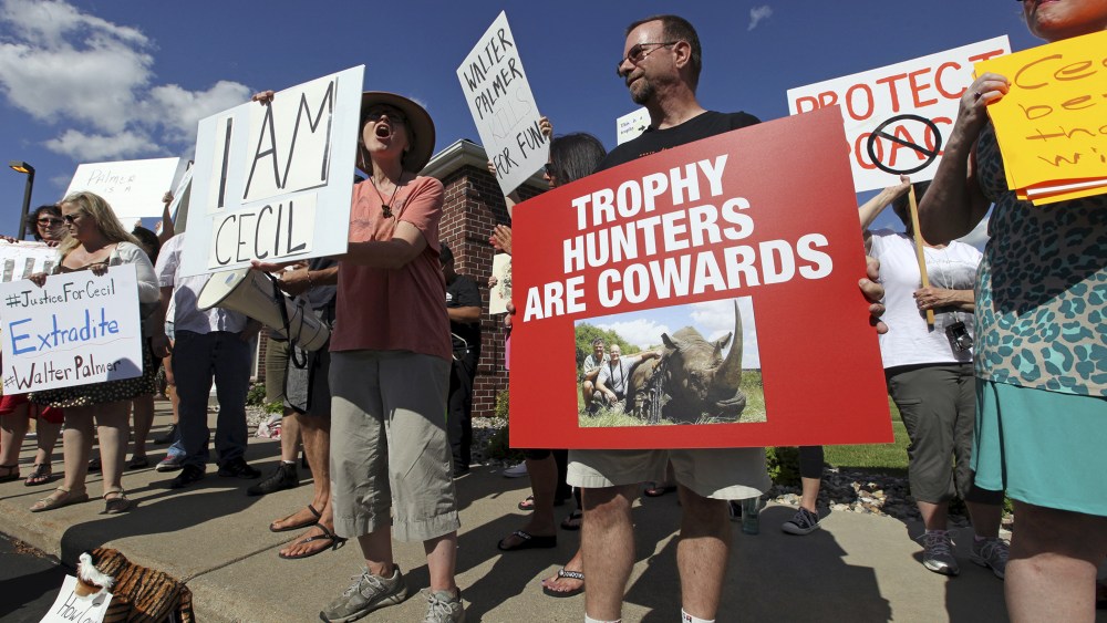 Protesters rally outside the River Bluff Dental clinic against the killing a famous lion in Zimbabwe, in Bloomington, Minn. on July 29, 2015. (Photo by Eric Miller/Reuters)