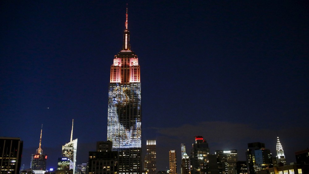 An image of Cecil the lion is projected onto the Empire State Building as part of an endangered species projection to raise awareness, in New York, Aug. 1, 2015. (Photo by Eduardo Munoz/Reuters)