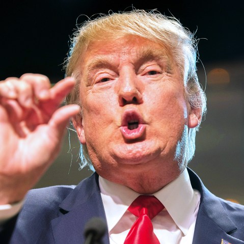 Republican U.S. presidential candidate Donald Trump speaks at a rally in Sparks, Nev., Oct. 29, 2015. (Photo by James Glover/Reuters)