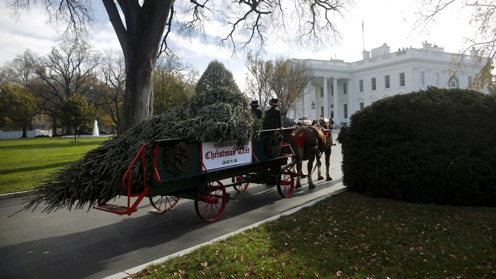 The Official White House Christmas Tree arrives at the White House in Washington, Nov. 27, 2015. This year's White House Christmas Tree is an 18.5-foot Fraser fir grown by Jay and Glenn Bustard in Lansdale, Penn. (Photo by Carlos Barria/Reuters)