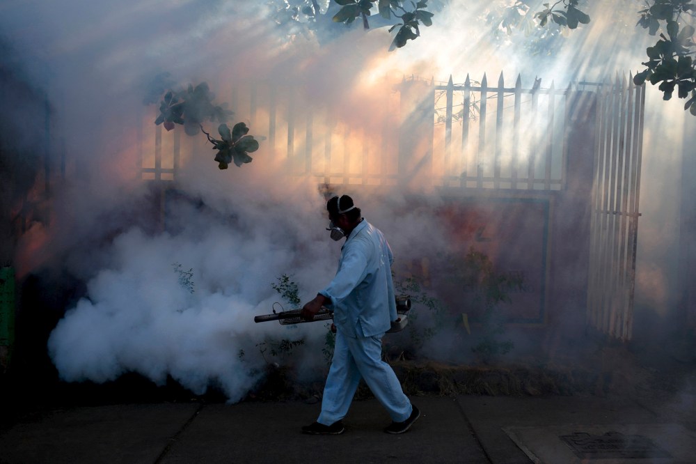 A health ministry worker fumigates a house to kill mosquitoes during a campaign against dengue and chikungunya and to prevent the entry of Zika virus in Managua, Nicaragua, Jan. 26, 2016. (Photo by Oswaldo Rivas/Reuters)