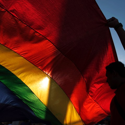 A gay rights activist holds a rainbow flag.