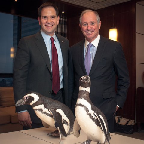 The Blackstone Group