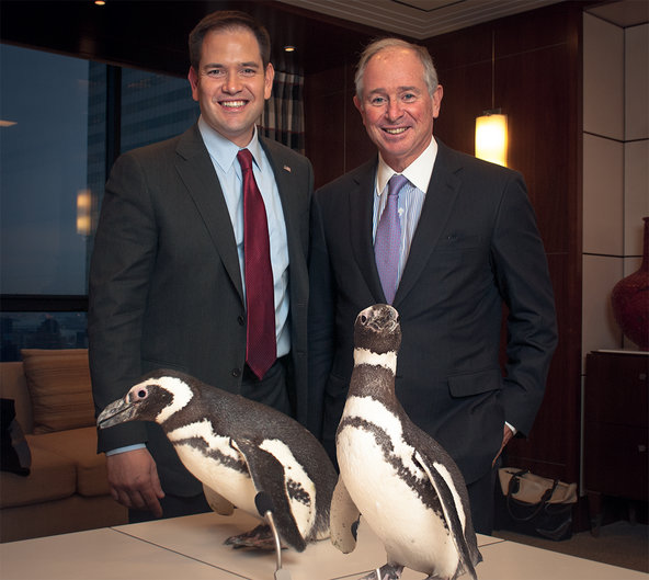 The Blackstone Group