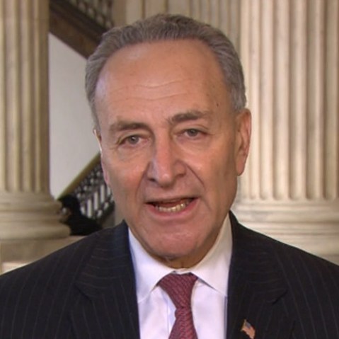 Sen. Chuck Schumer, D-N.Y., during an appearance on Andrea Mitchell Reports.