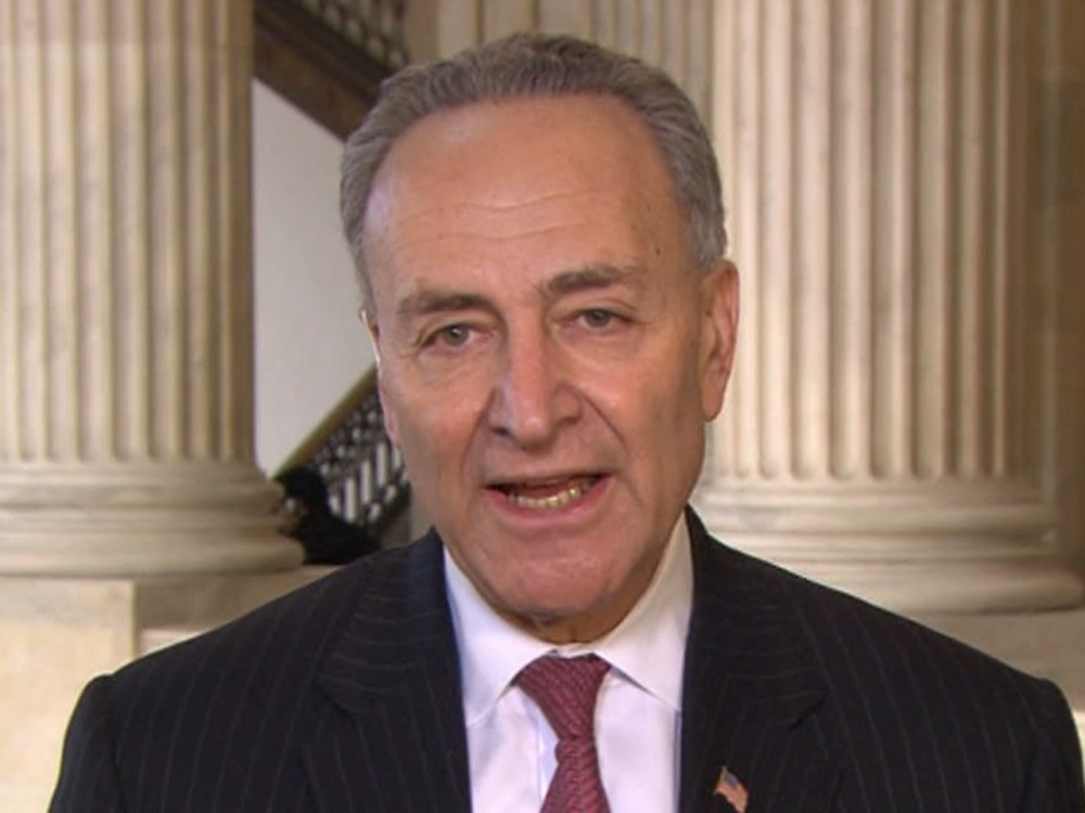 Sen. Chuck Schumer, D-N.Y., during an appearance on Andrea Mitchell Reports.