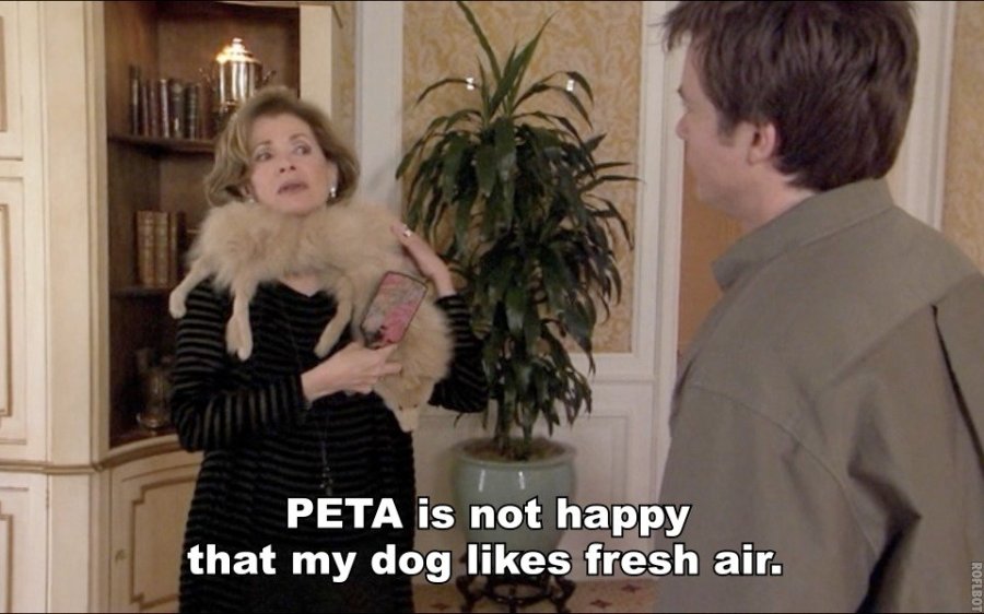 POPitics: This week in Mitt Memes