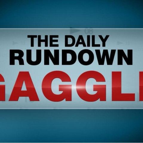 TDR Gaggle