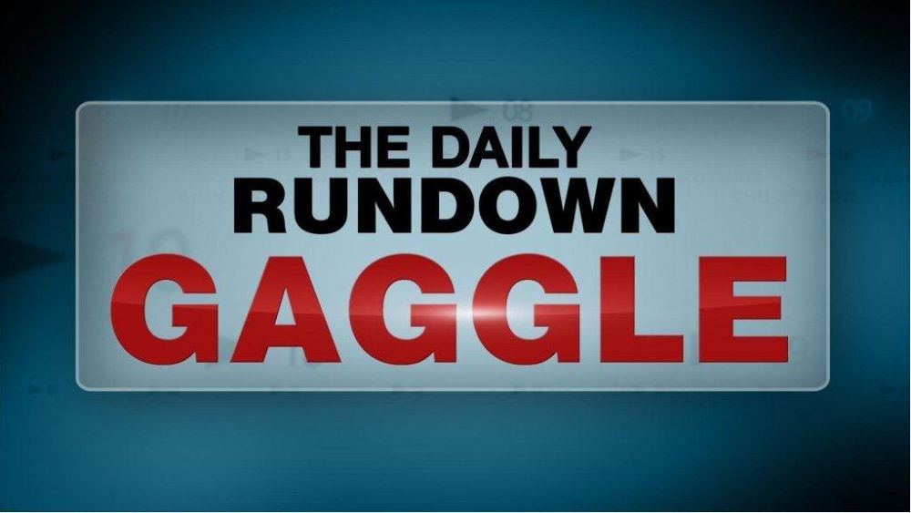 TDR Gaggle