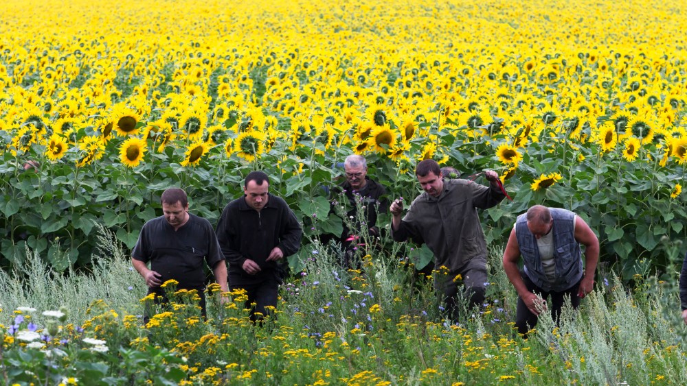 Ukrainian coal miners search the site of a crashed Malaysia Airlines passenger plane near the village of Rozsypne, Ukraine, July 18, 2014.