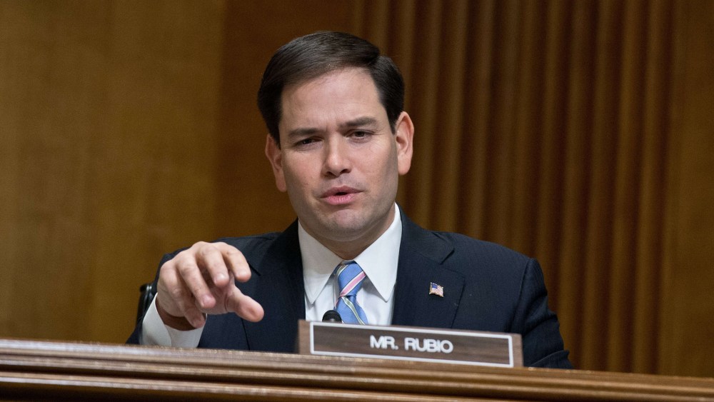 Republican Senator from Florida Marco Rubio on Capitol Hill in Washington,DC on January 28, 2014.