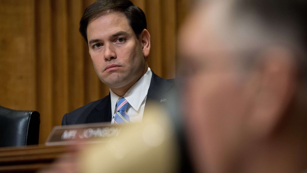 Republican Senator from Florida Marco Rubio on Capitol Hill in Washington,D.C. on January 28, 2014.