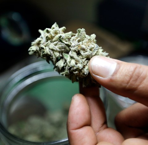 weed