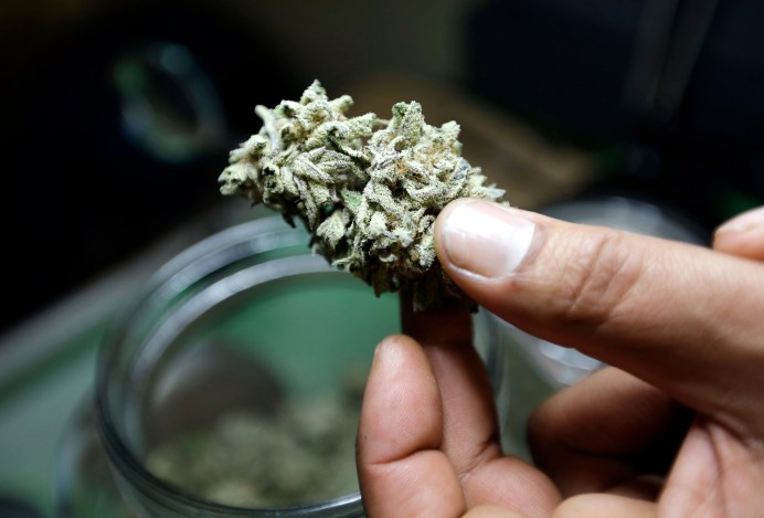 weed