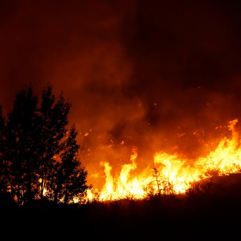 Flames rise near a tree on the ridge line above several homes on Twisp River Road just after midnight, Aug. 20, 2015 in Twisp, Wash. (Photo by Ted S. Warren/AP)