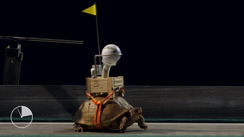 Still frame from World's Slowest Rube Goldberg | Field Day Presents Bob Partington