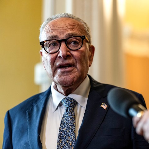 Image: Senate Democratic Leader Chuck Schumer Speaks To Reporters On Capitol Hill