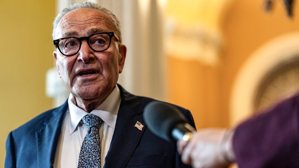 Image: Senate Democratic Leader Chuck Schumer Speaks To Reporters On Capitol Hill