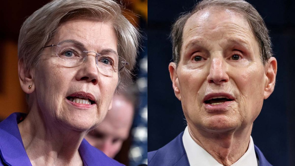Elizabeth Warren ron wyden politics political politicians