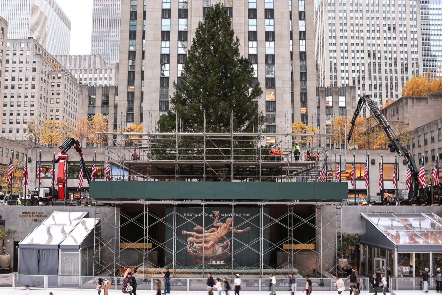 2025 Rockefeller Center Christmas Tree Arrives On Center Plaza