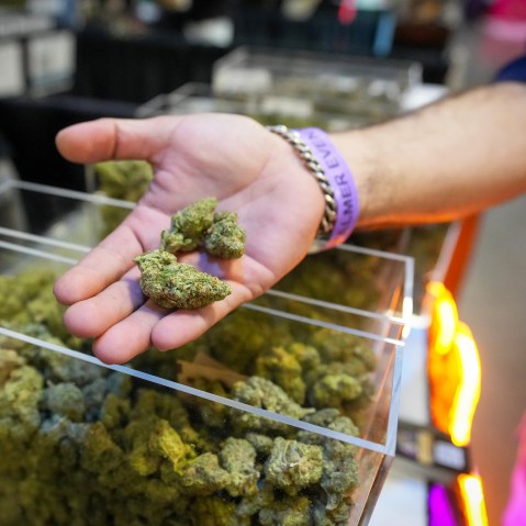 A person hold cannabis flower.