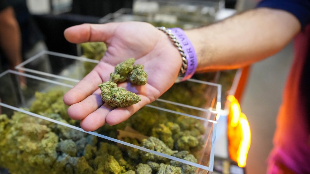 A person hold cannabis flower.