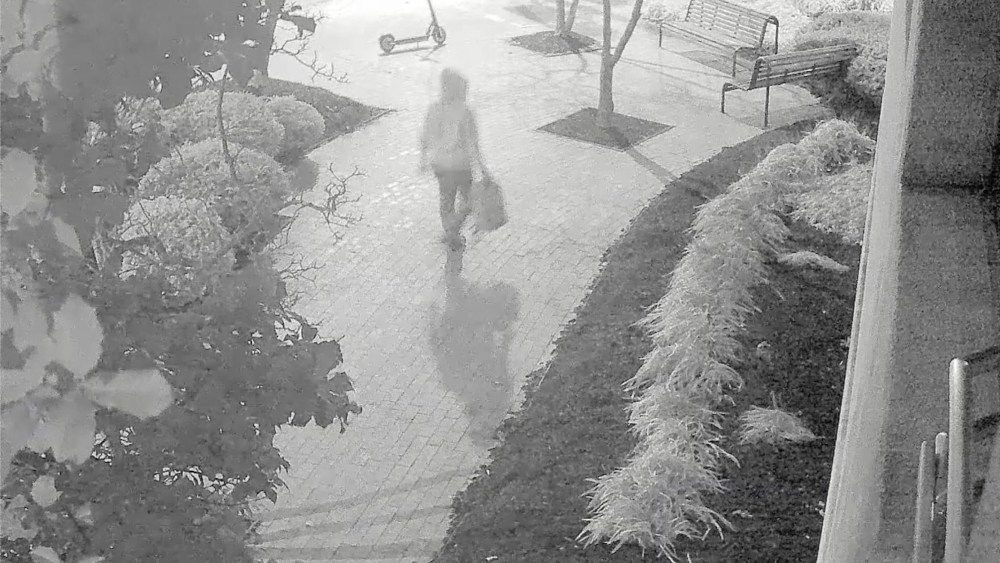 An unidentified individual placed pipe bombs near the DNC and RNC offices in Washington, D.C. on Jan. 5, 2021. This screenshot was captured from a surveillance video, released by FBI.