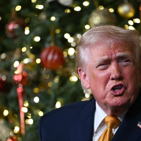 Donald Trump in front of a Christmas tree.