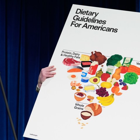 A person's hands are seen holding a display showing the newly announced food pyramid.