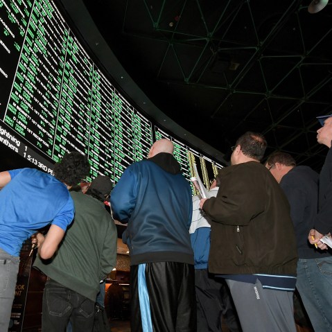 People look up toward a betting odds video board.