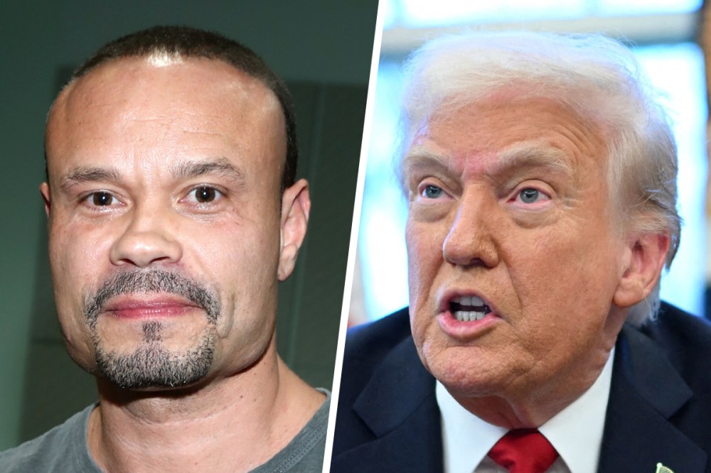 Dan Bongino; Donald Trump.