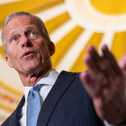 John Thune gestures.