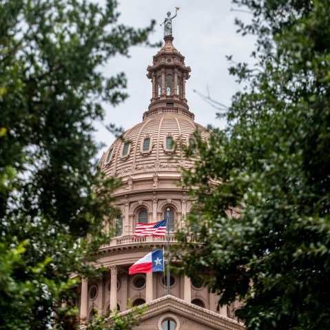 The Texas State Capitol dome peeks out from behind two trees.