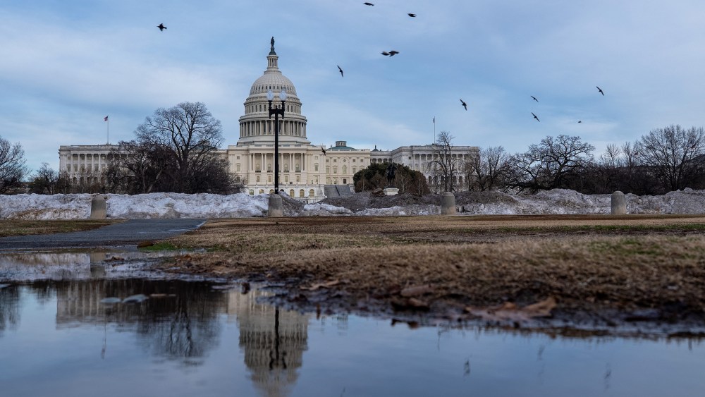 Birds fly around the Capitol, which is seen both in true form and as a reflection in a puddle.