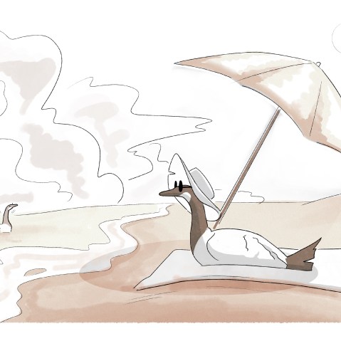 A hand-drawn illustration of two geese on a beach.