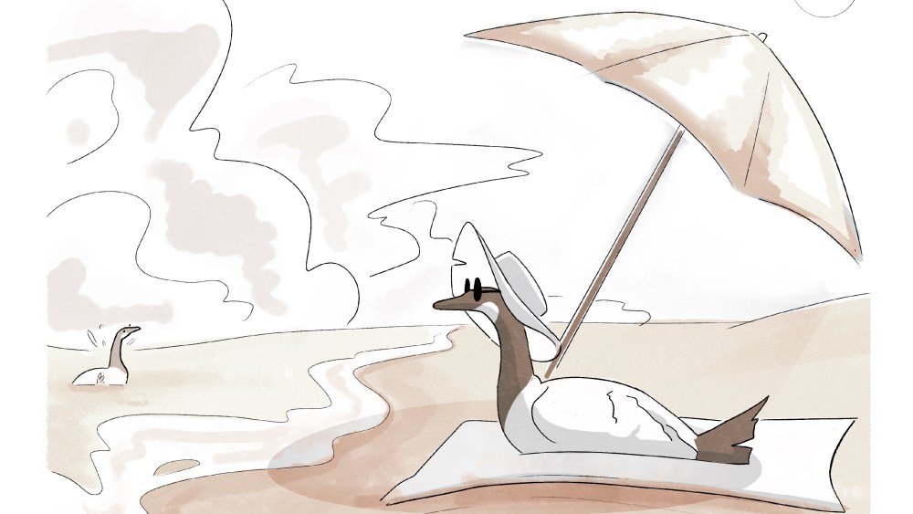 A hand-drawn illustration of two geese on a beach.