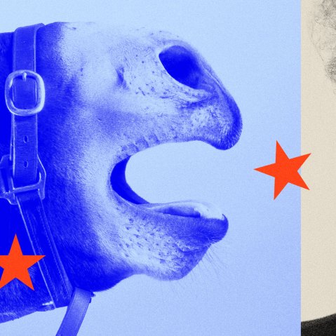 Photo illustraton of a donkey, overlaid in blue, braying at Donald Trump, overlaid in tan.