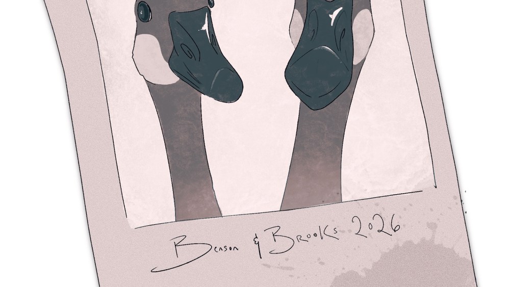 An illustration showing a Polaroid-style photo of two geese, a recurring motif in the newsletter, with the caption “Benson and Brooks, 2026” below the photo.